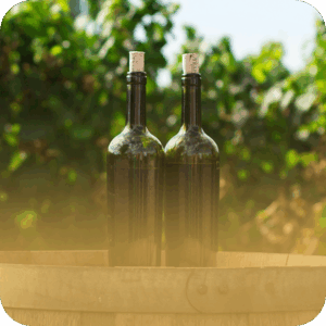 lahove vino@0.5x
